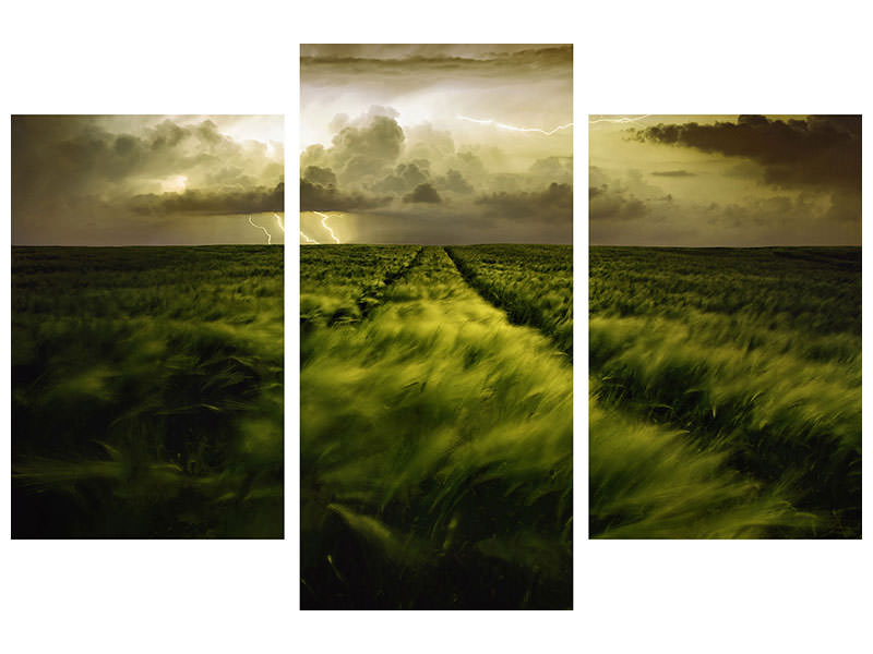 modern-3-piece-canvas-print-journey-to-the-fierce-storm