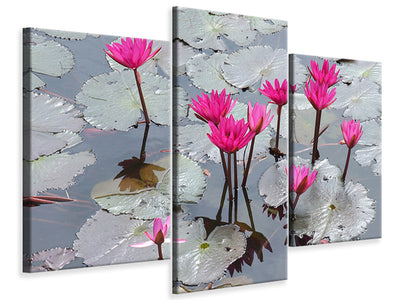 modern-3-piece-canvas-print-jump-in-the-lily-pond