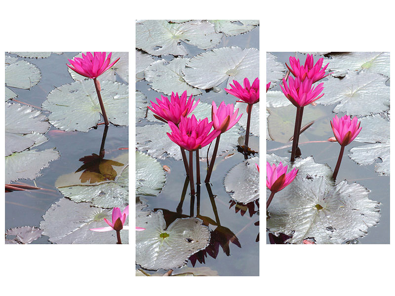 modern-3-piece-canvas-print-jump-in-the-lily-pond