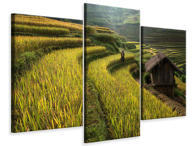 modern-3-piece-canvas-print-keep-walking