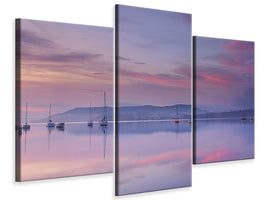 modern-3-piece-canvas-print-morning-mood-ii
