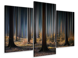 modern-3-piece-canvas-print-mystic-wood