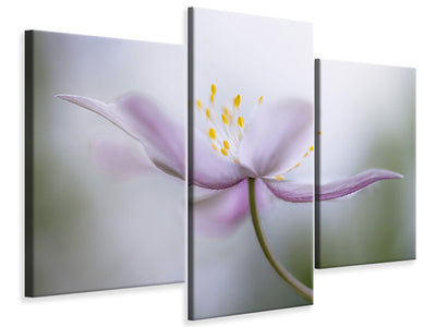 modern-3-piece-canvas-print-nemorosa-ii