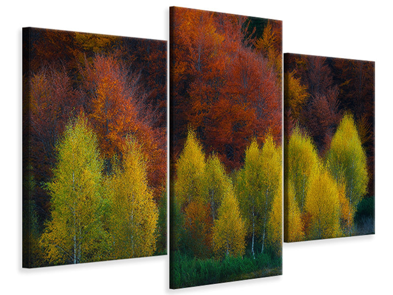 modern-3-piece-canvas-print-nimbrethil