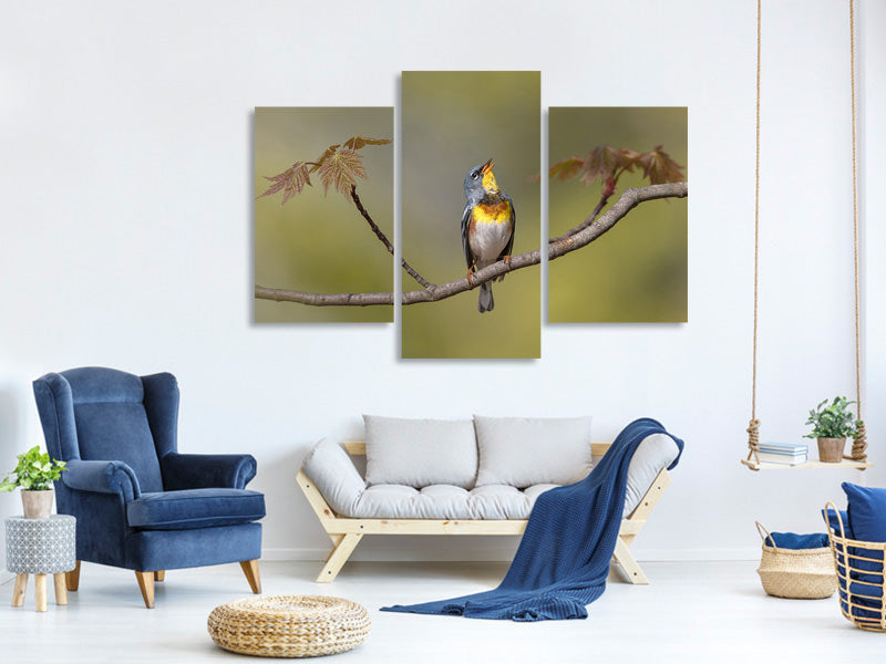 modern-3-piece-canvas-print-parula-on-stage