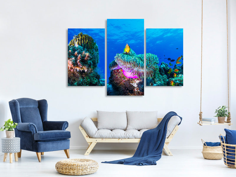 modern-3-piece-canvas-print-sea-life