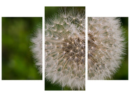 modern-3-piece-canvas-print-the-dandelion-in-nature