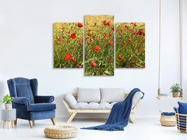 modern-3-piece-canvas-print-the-poppy-in-the-wind