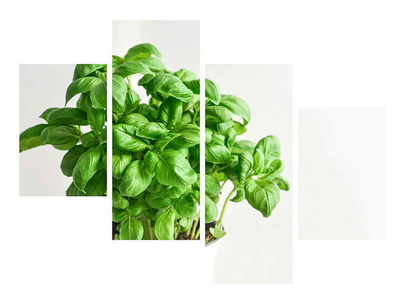 modern-4-piece-canvas-print-basil-in-the-pot