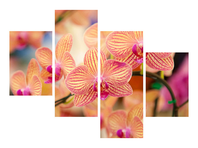 modern-4-piece-canvas-print-exotic-orchids