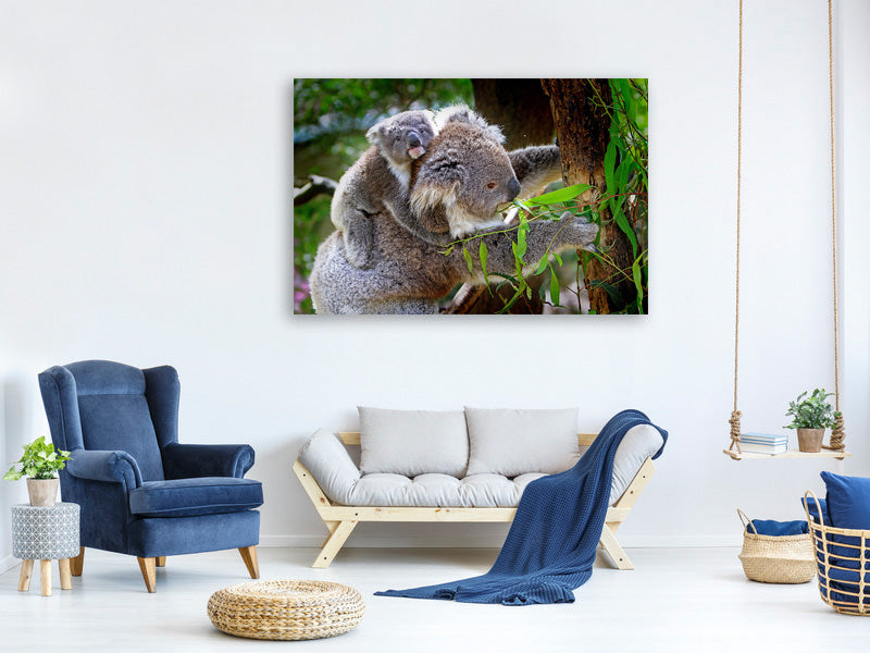 3-piece-canvas-print-mom-and-baby-koala