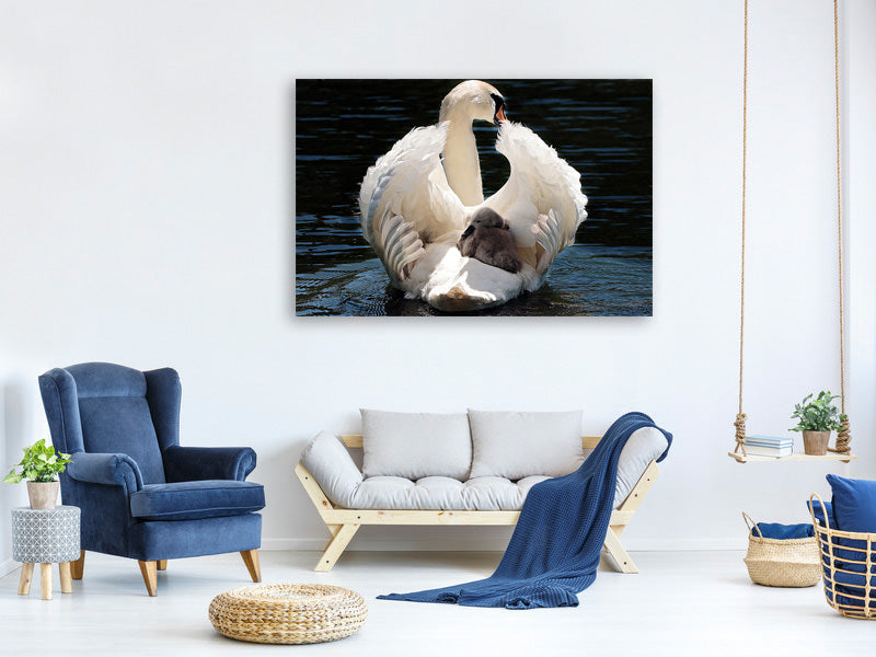 3-piece-canvas-print-mom-and-baby-swan