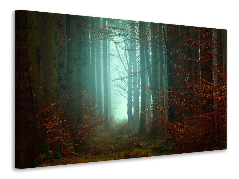 3-piece-canvas-print-mood-in-the-forest