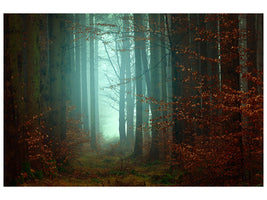 3-piece-canvas-print-mood-in-the-forest