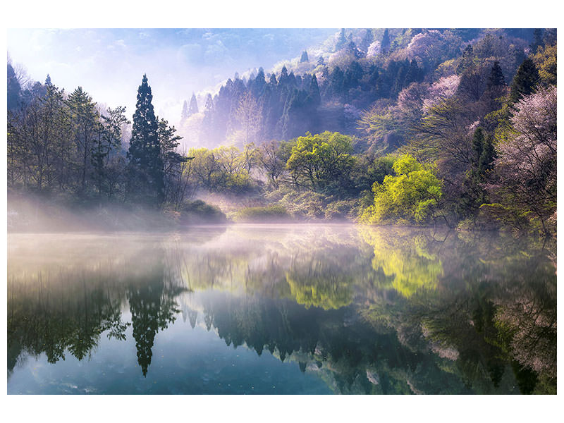 5-piece-canvas-print-morning-calm