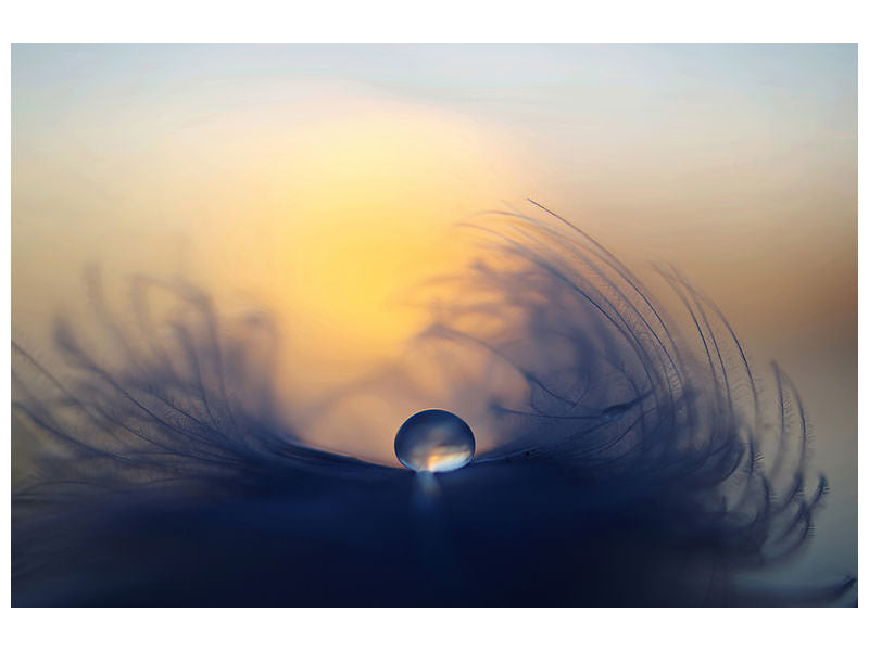 5-piece-canvas-print-morning-ii
