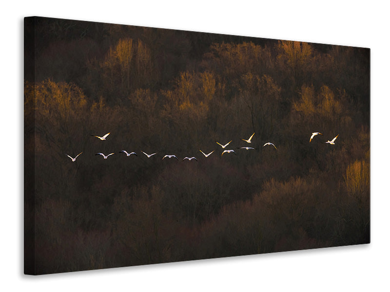 panoramic-canvas-print-morning-mood
