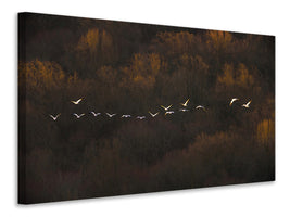 modern-4-piece-canvas-print-morning-mood
