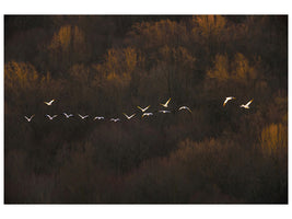 panoramic-canvas-print-morning-mood
