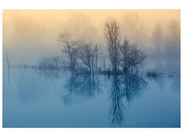modern-4-piece-canvas-print-morning-reflection-ii