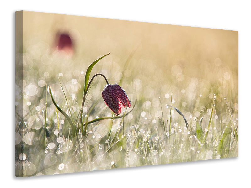 4-piece-canvas-print-morningdew