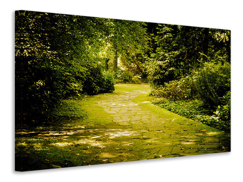 5-piece-canvas-print-moss-covered-path