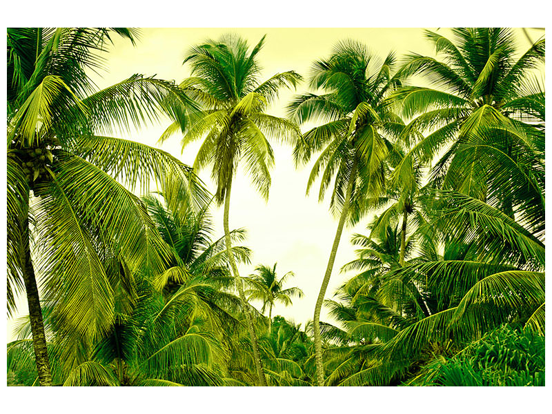 5-piece-canvas-print-mural-ready-for-a-vacation