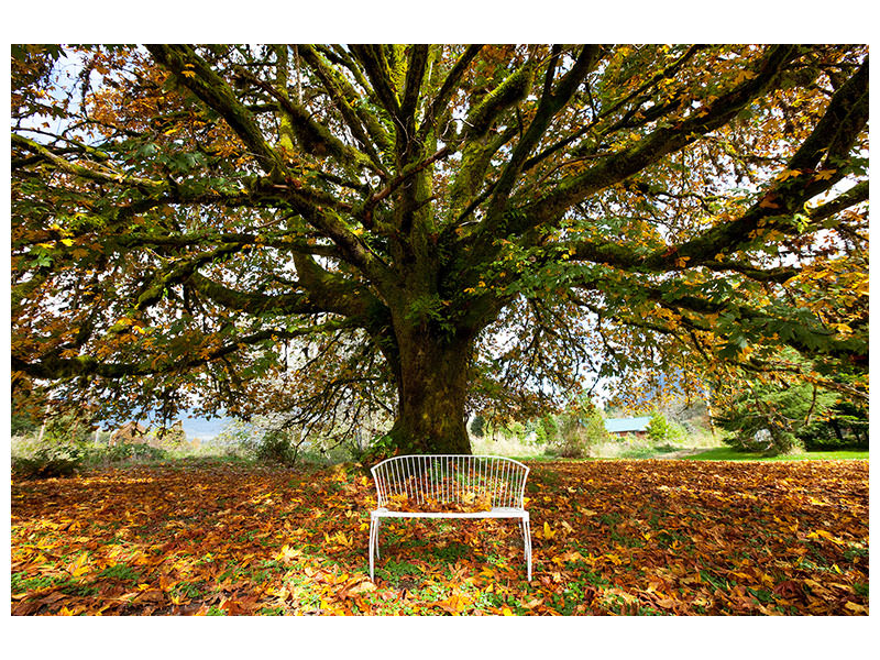 modern-4-piece-canvas-print-my-favorite-tree