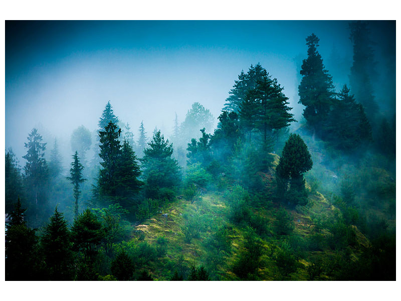 modern-4-piece-canvas-print-mysterious-forest-ii