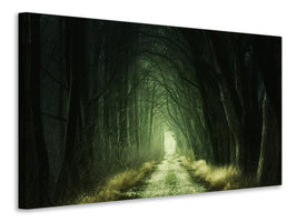 modern-3-piece-canvas-print-mysterious-forest-iii