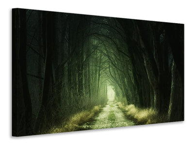 modern-3-piece-canvas-print-mysterious-forest-iii