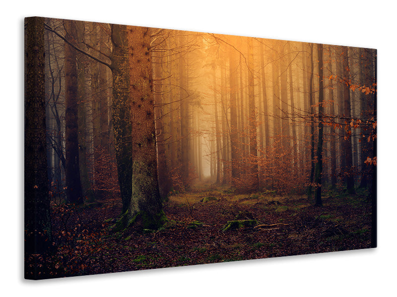 3-piece-canvas-print-mysterious-forest