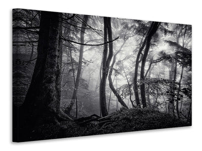 panoramic-canvas-print-mysterious-light