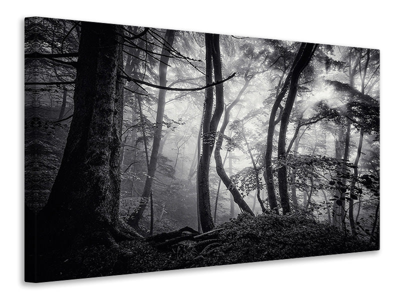 modern-4-piece-canvas-print-mysterious-light