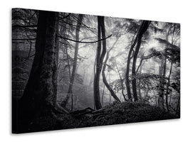 3-piece-canvas-print-mysterious-light