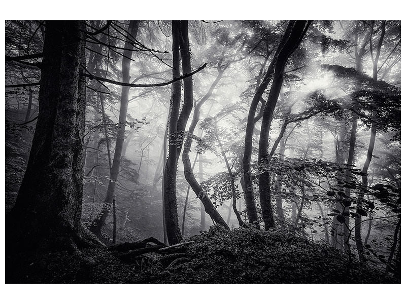 canvas-print-mysterious-light