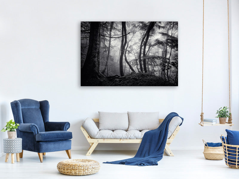 panoramic-3-piece-canvas-print-mysterious-light