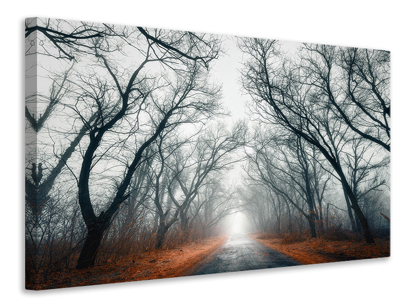 4-piece-canvas-print-mysterious-mood-in-the-forest