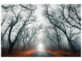 4-piece-canvas-print-mysterious-mood-in-the-forest