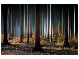 modern-3-piece-canvas-print-mystic-wood