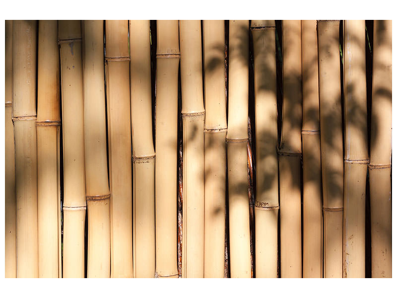 3-piece-canvas-print-natural-bamboo