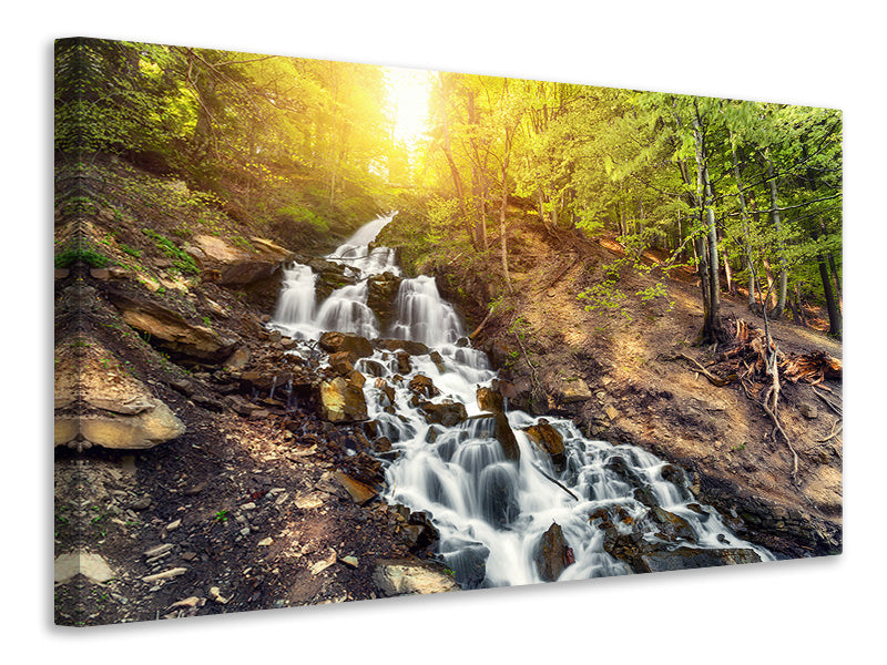 4-piece-canvas-print-natural-beauty