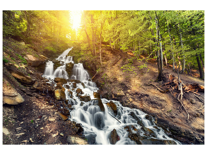 4-piece-canvas-print-natural-beauty