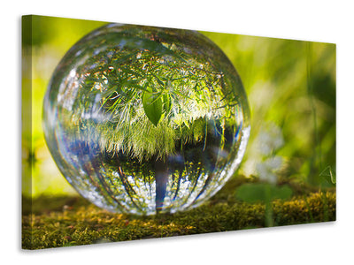5-piece-canvas-print-nature-ball