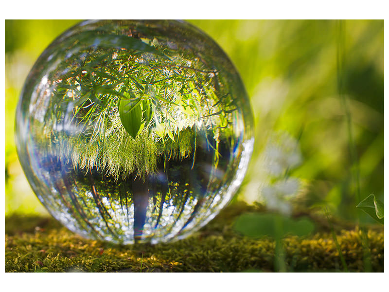 modern-4-piece-canvas-print-nature-ball
