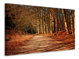 3-piece-canvas-print-nature-in-autumn