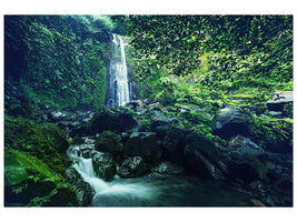 4-piece-canvas-print-nature
