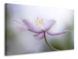 modern-3-piece-canvas-print-nemorosa-ii