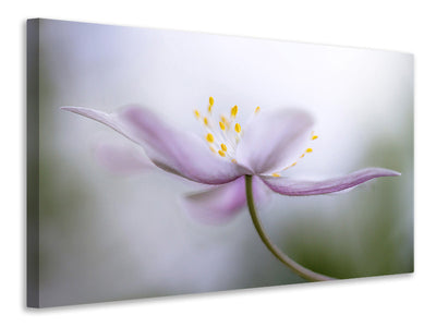 3-piece-canvas-print-nemorosa-ii
