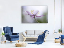 panoramic-3-piece-canvas-print-nemorosa-ii